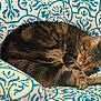 armchair, blue_and_white, cat, couch, cozy, curled_up, feline, fur, home, indoor, nap, patterned_fabric, paw, pet, relaxed, sleeping_cat, tabby_cat, texture, upholstery, whiskers