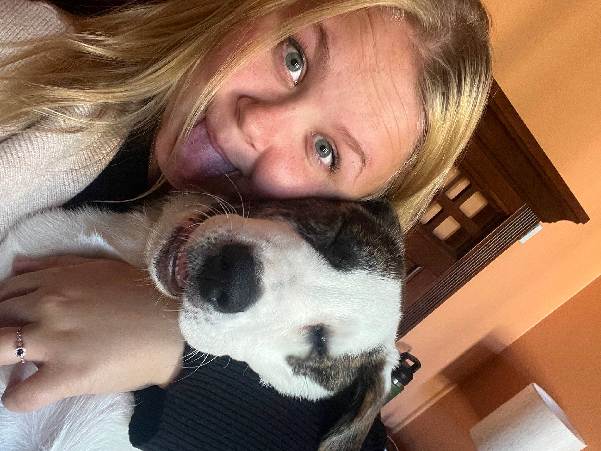 Bo Duke joined the competition — help win amazing prizes! carnivore, companion_dog, dog, dog_breed, ear, eyelash, eyewear, fawn, fur, gesture, hand, happy, jaw, long_hair, moustache, nose, selfie, surfer_hair, vision_care, whiskers