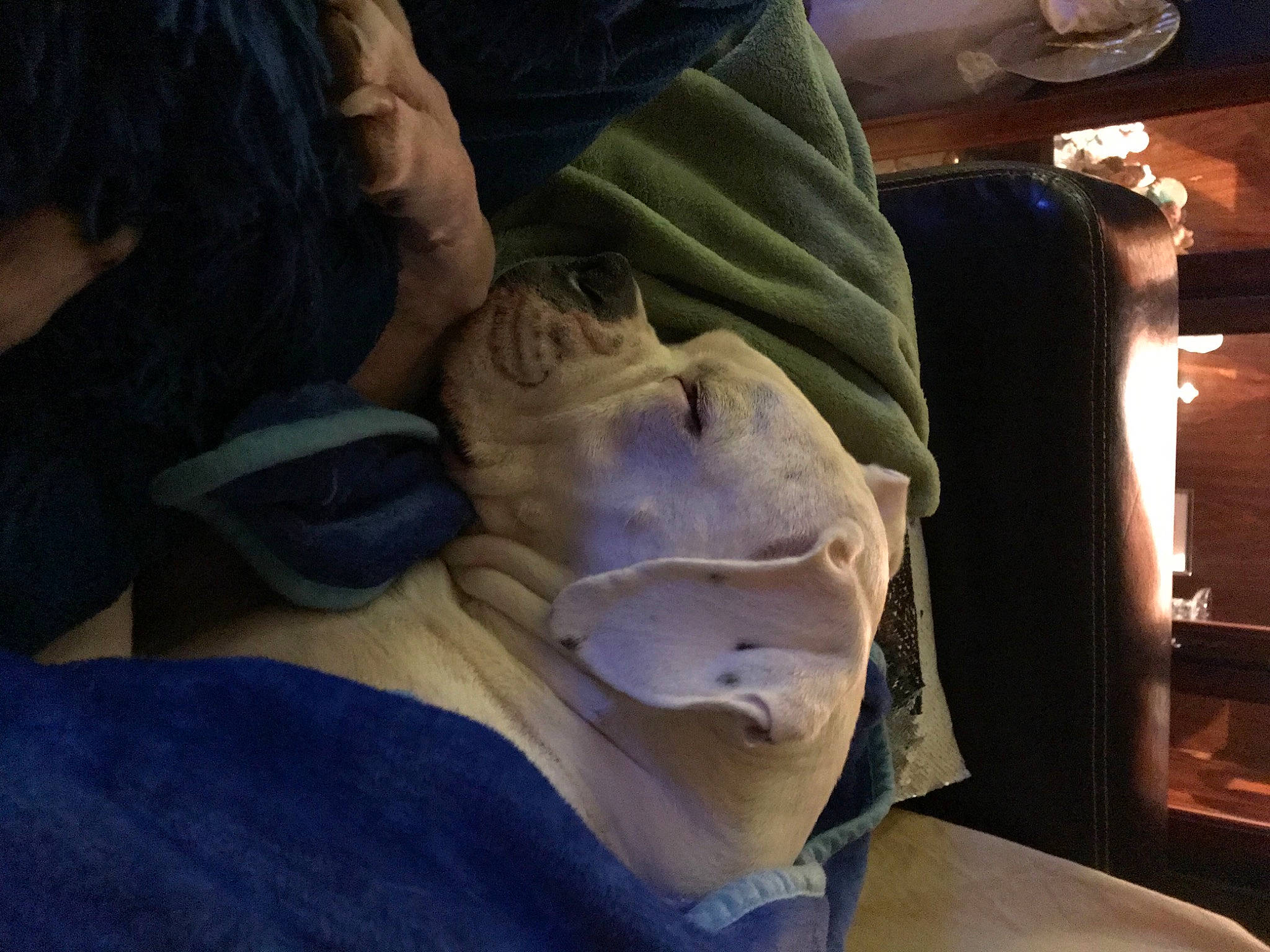 Marley joined the competition — help win amazing prizes! creative_arts, sculpture, statue