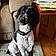 Zoey