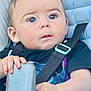 baby, black_clothing, blue, child, closeup, curious, cute, expression, eyes, face, fingernails, hand, head, infant, portrait, seatbelt, sitting, skin, stroller, young_child