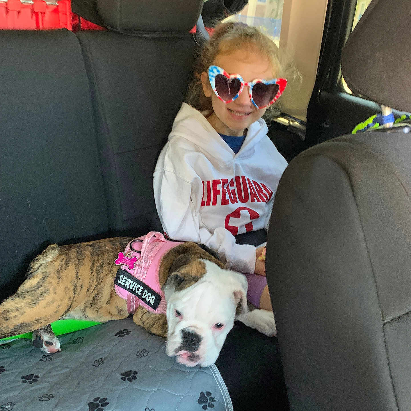 Josephine is registered to the contest to win money with this photo: accessories, animal, ball, canine, clothing, cushion, dog, face, football, glasses, head, homedecor, person, photography, portrait, soccer, soccerball, sport, sunglasses, t_shirt