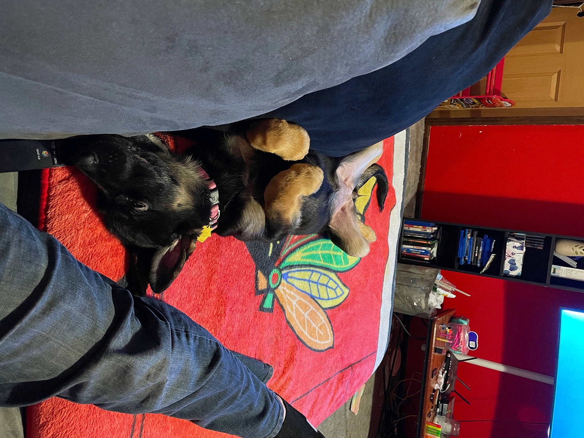 Sicily is registered to the contest to win money with this photo: art, artist, carmine, comfort, dog, fashion_accessory, flooring, fun, glove, human_leg, nail, publication, room, shoe, visual_arts, wrist