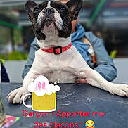 Lily participe au concours pour gagner de l'argent avec cette photo :