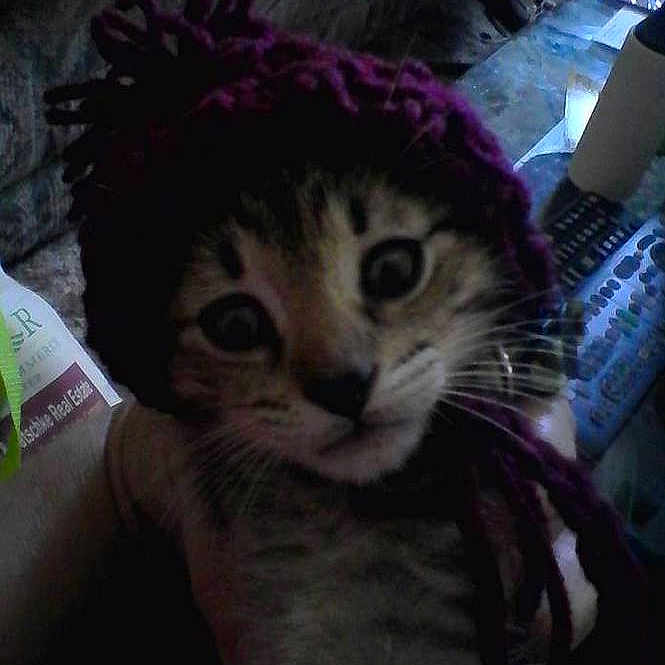 Panchito joined the competition — help win amazing prizes!