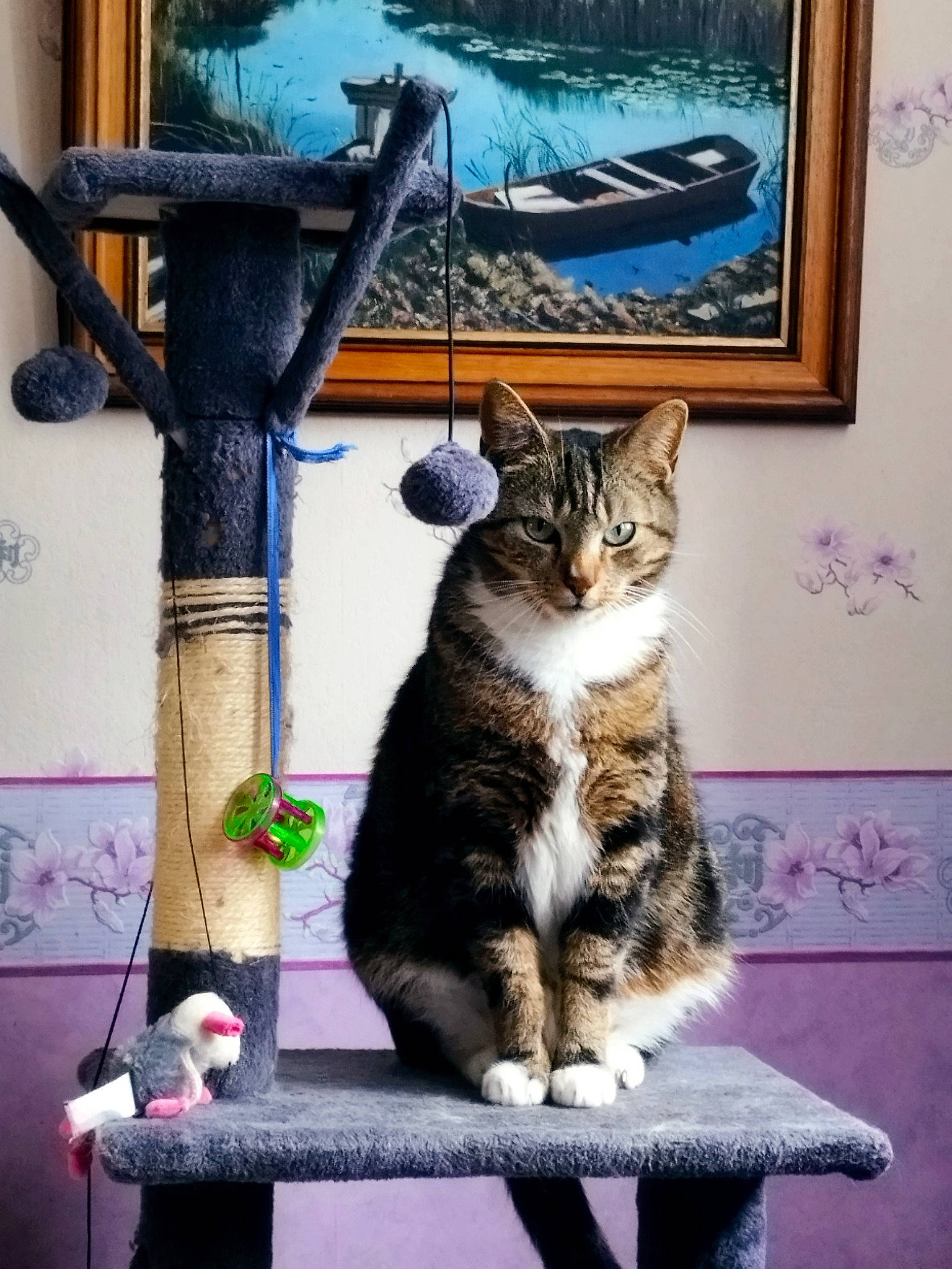 Réglisse a rejoint le concours — aidez-le/la à gagner de superbes lots ! art, blue, carnivore, cat, cat_supply, domestic_short_haired_cat, felidae, fur, paint, painting, picture_frame, rectangle, shelf, sitting, small_to_medium_sized_cats, snapshot, tail, visual_arts, whiskers, wood