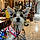 Zoey