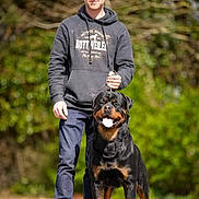 Tÿr participe au concours pour gagner de l'argent avec cette photo : adult, animal, canine, clothing, dog, hoodie, hound, knitwear, male, man, pants, person, pet, policedog, standing, sweater, sweatshirt, terrier, walking, walkingdog