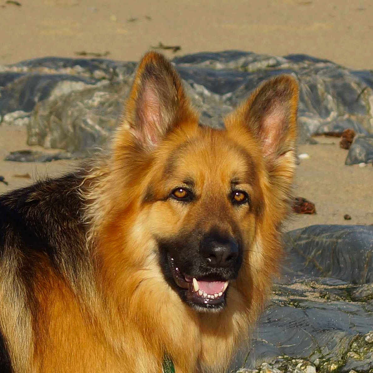 Kiva is registered to the contest to win money with this photo: