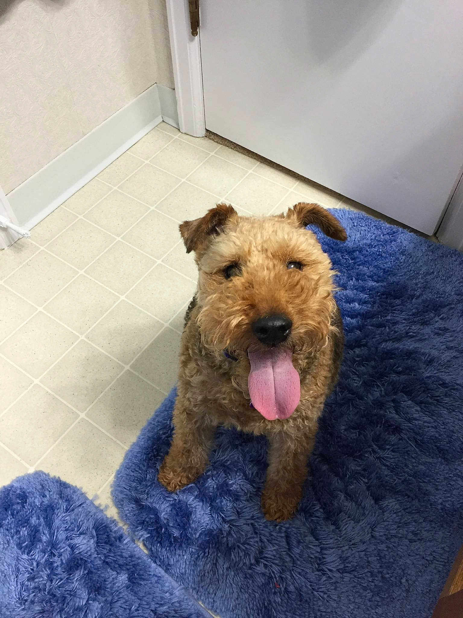Sophie