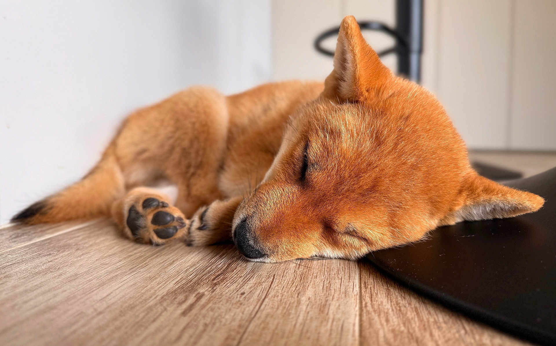 Akira