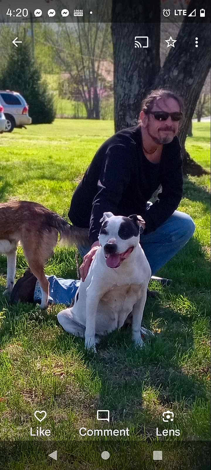 Claireese Norris is registered to the contest to win money with this photo: carnivore, chair, collar, companion_dog, dog, dog_breed, dog_collar, eyewear, fawn, grass, happy, lawn, leg, plant, shoe, smile, sneakers, sunglasses, tree, vertebrate