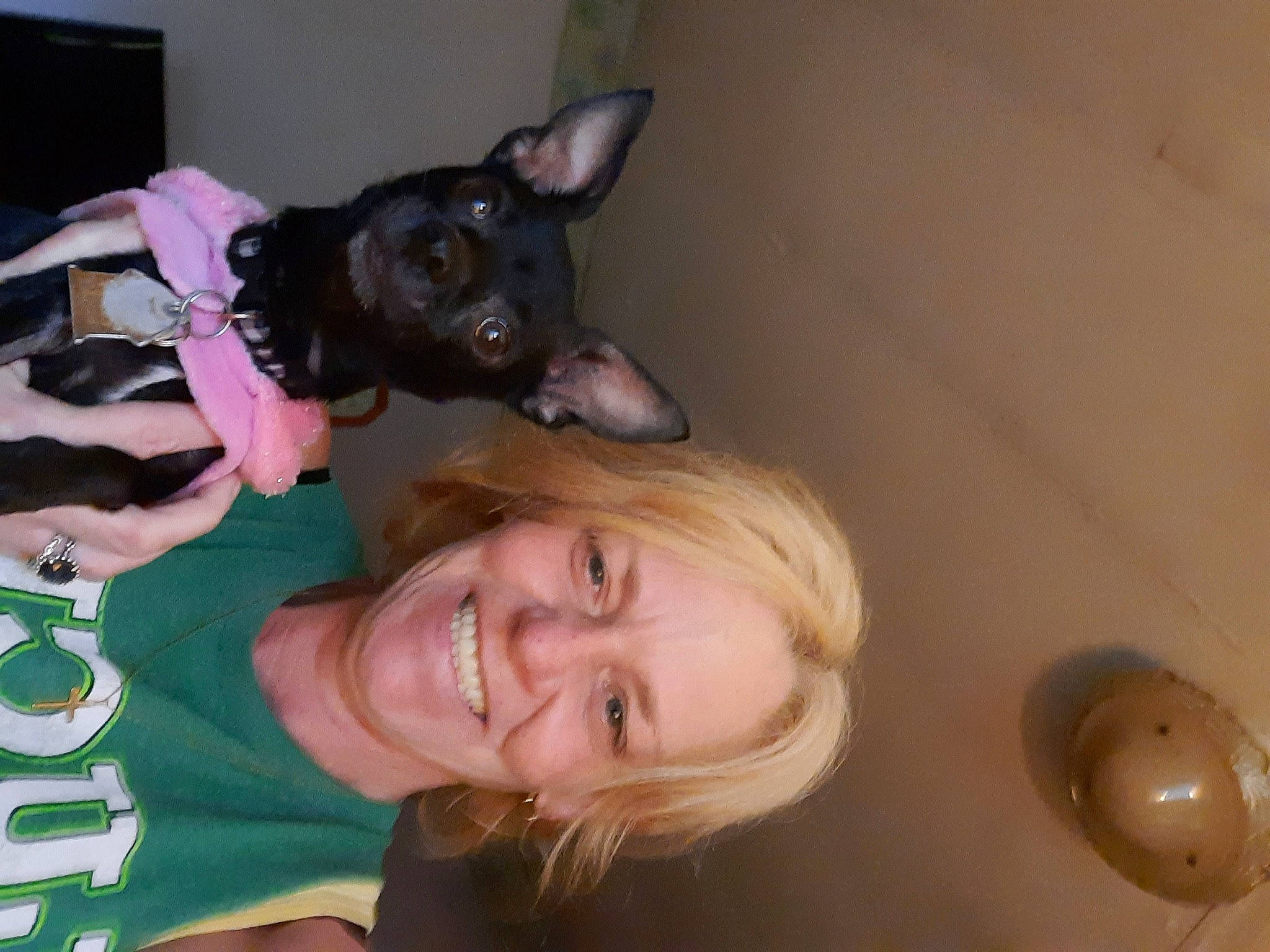 Penny Lane is registered to the contest to win money with this photo: canidae, carnivore, companion_dog, dog, dog_breed, dog_supply, ear, fawn, fun, gesture, guard_dog, happy, light_fixture, non_sporting_group, smile, sporting_group, t_shirt, throat, toy_dog