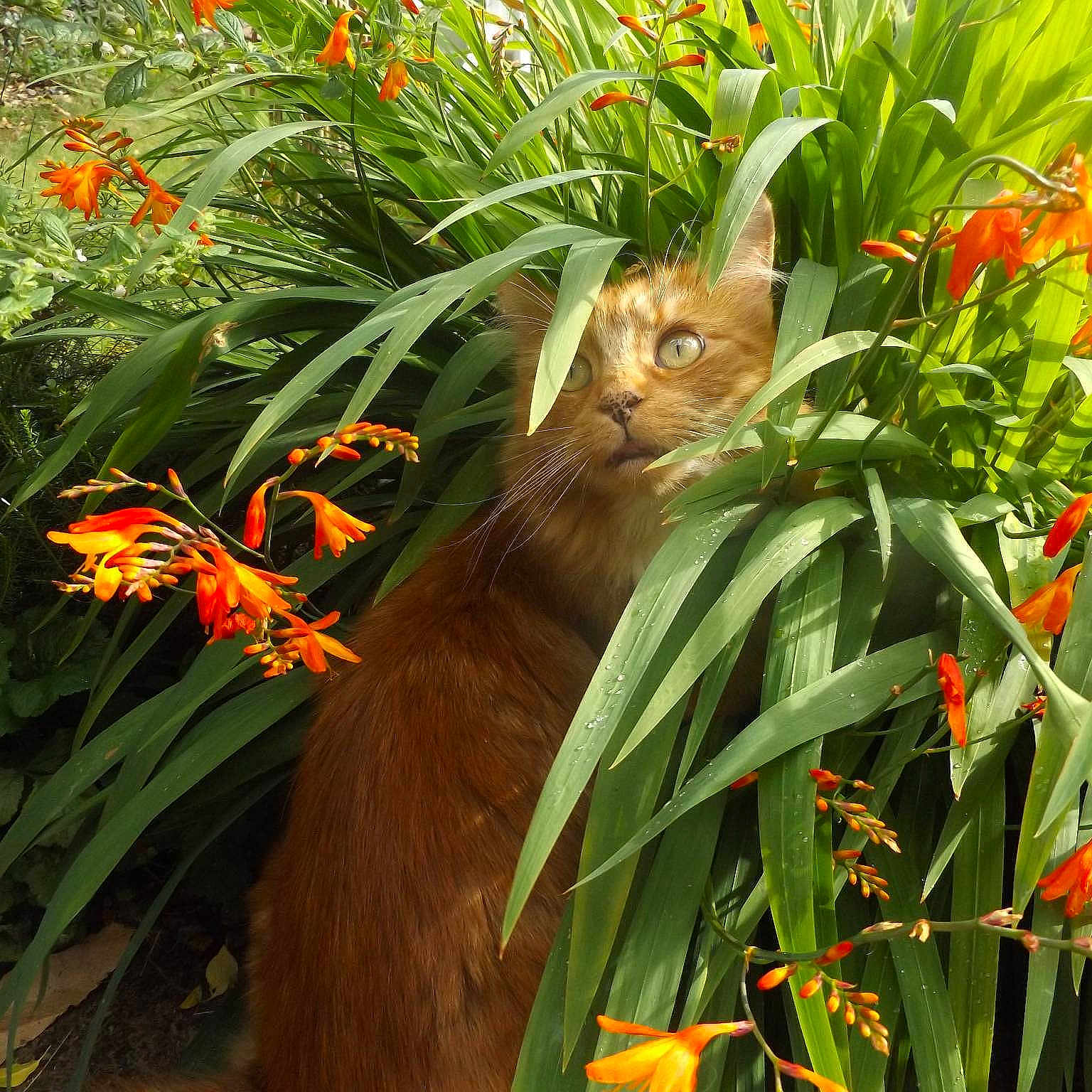 Cheech joined the competition — help win amazing prizes!