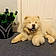 Kuma