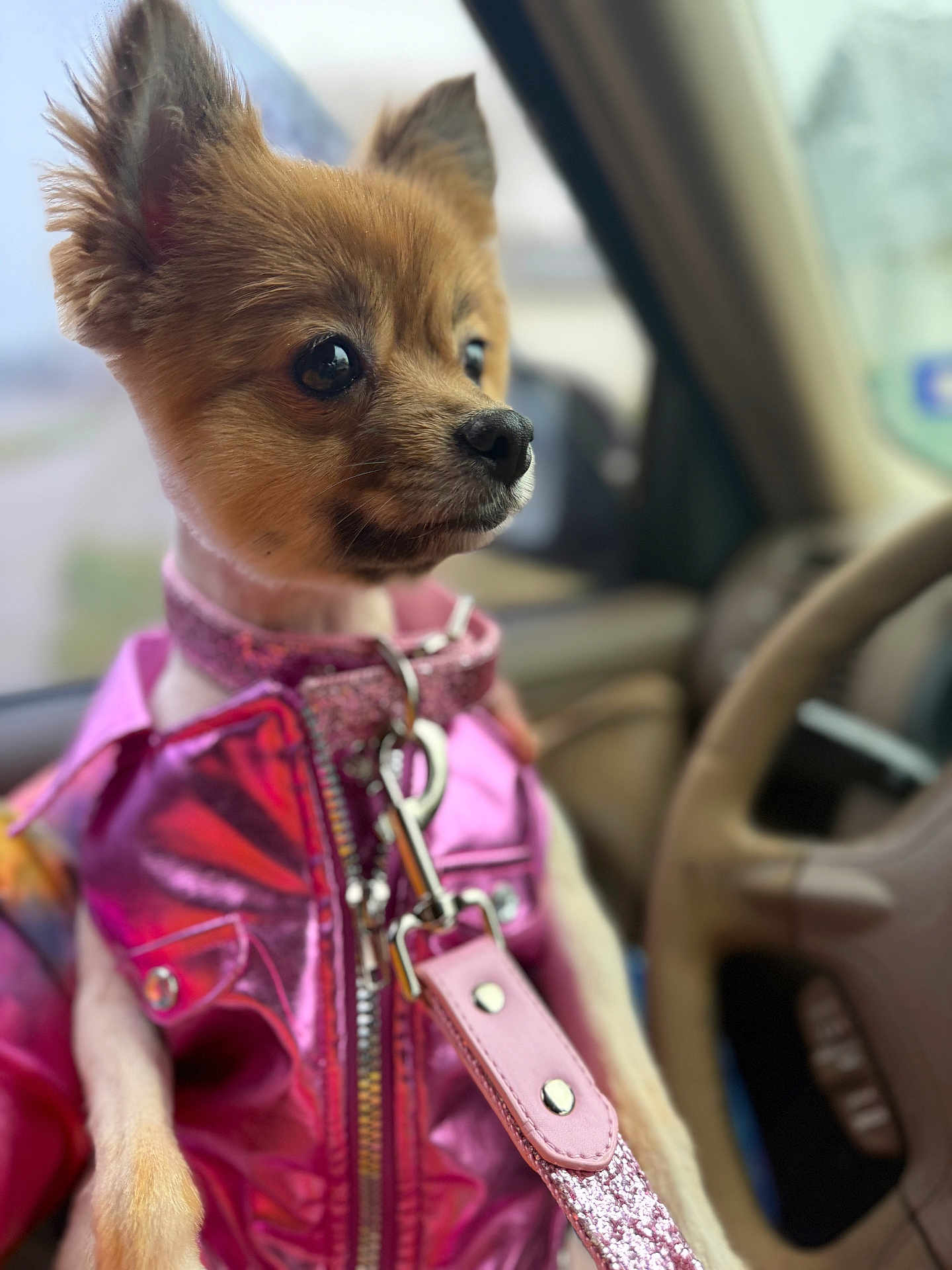 Minnie