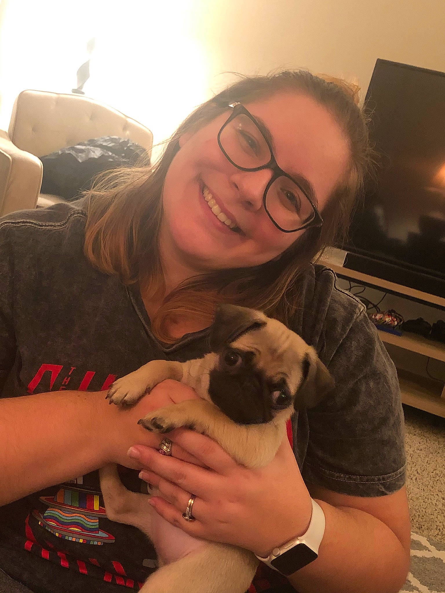 Mellie is registered to the contest to win money with this photo: boston_terrier, canidae, carnivore, companion_dog, dog, dog_breed, ear, fawn, glasses, lap, mammal, non_sporting_group, pug, puppy, puppy_love, snout, toy_dog