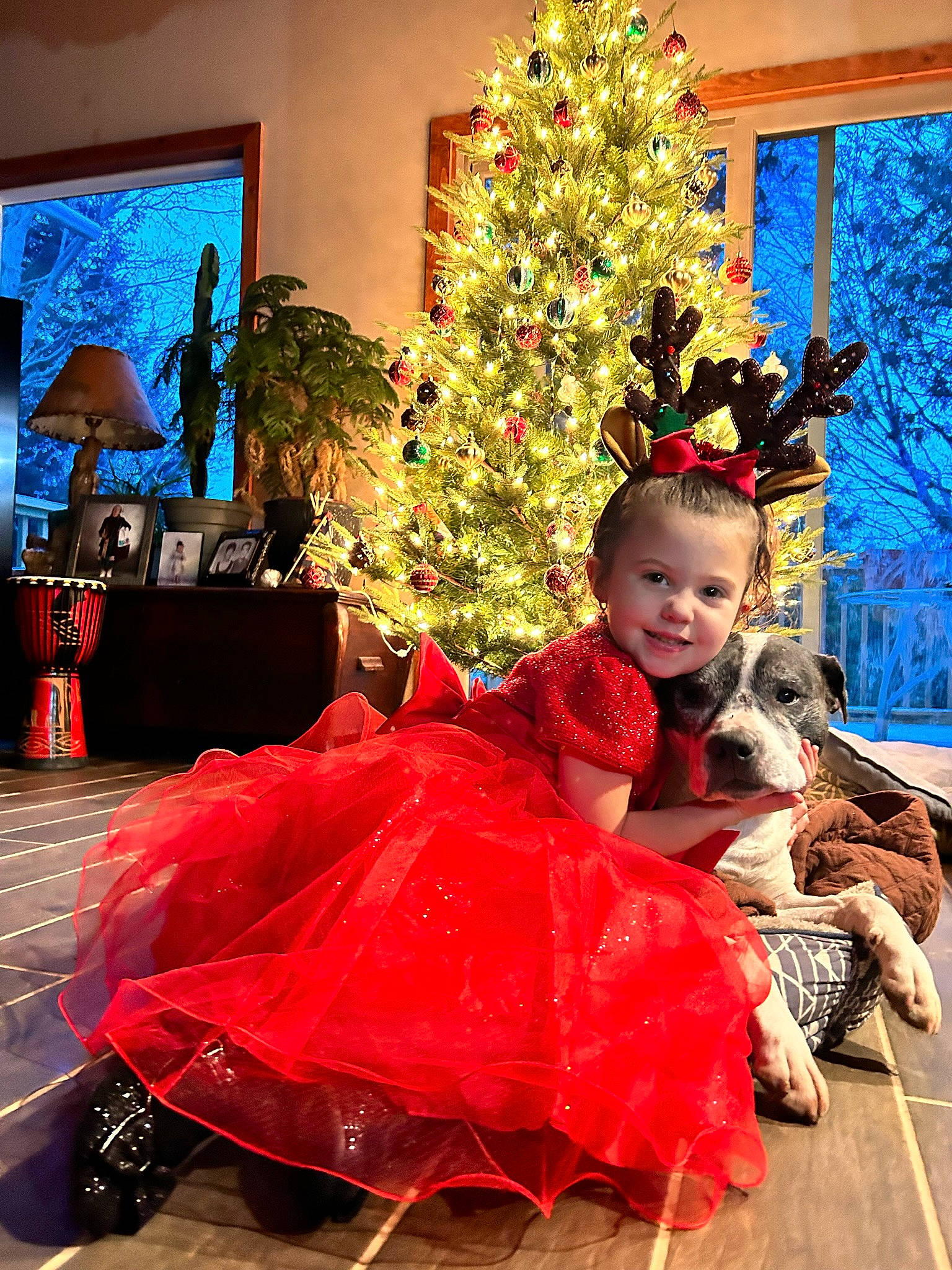 Cheyenne is registered to the contest to win money with this photo: blue, christmas, christmas_decoration, christmas_ornament, christmas_tree, conifer, event, flooring, fun, happy, holiday, holiday_ornament, joy, ornament, person, plant, red, sitting, smile, toddler