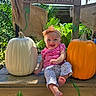 Ava is registered to the contest to win money with this photo: baby, child, infant, smiling, happy, portrait, pumpkin, pumpkin_patch, halloween, jack_o_lantern, zoo, outdoor, tropical, palm_trees, wooden_sign, autumn, pink_clothing, floral_pants, sitting, bare_feet