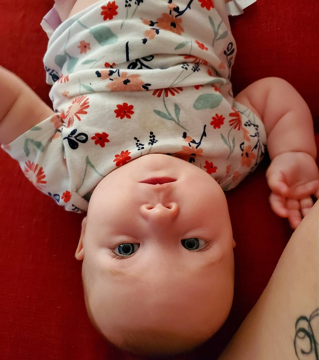 Elora joined the competition — help win amazing prizes! baby, cheek, child, hand, head, headgear, lip, person, toddler