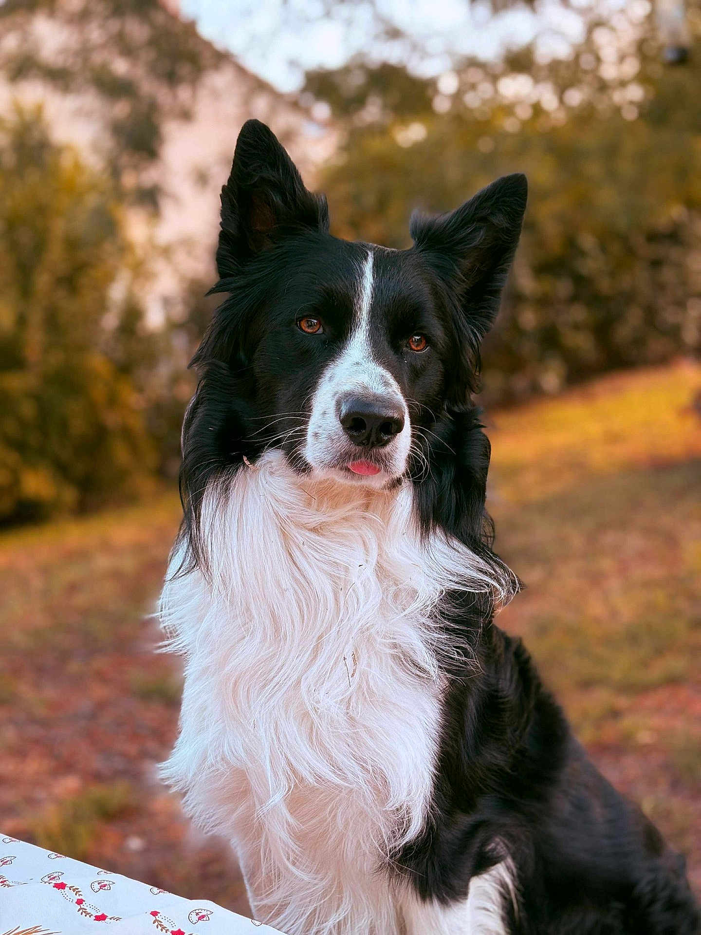 Max