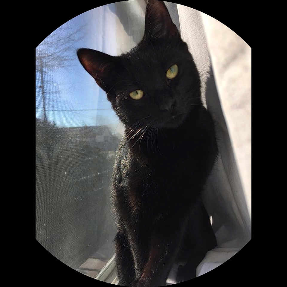 Binx