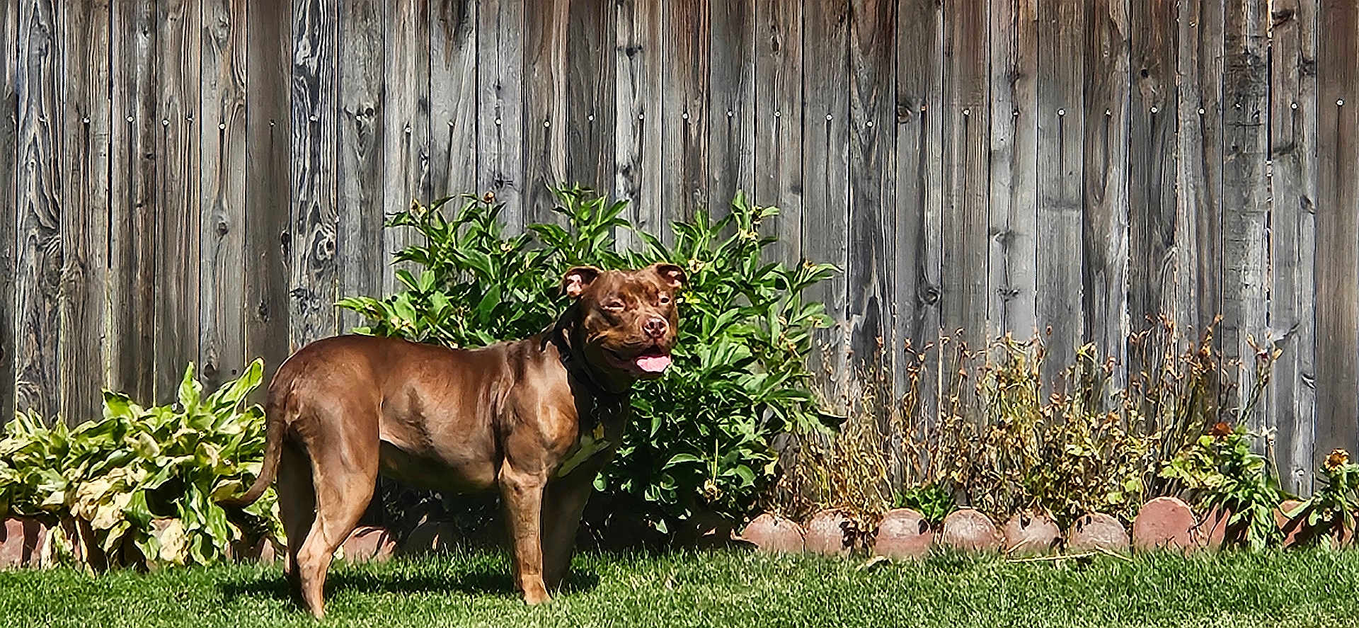 Coco