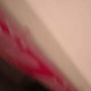 Max joined the competition — help win amazing prizes! carmine, eyebrow, eyelash, flesh, flooring, hair, human_leg, macro_photography, magenta, peach, petal, plant, room, tints_and_shades, wood