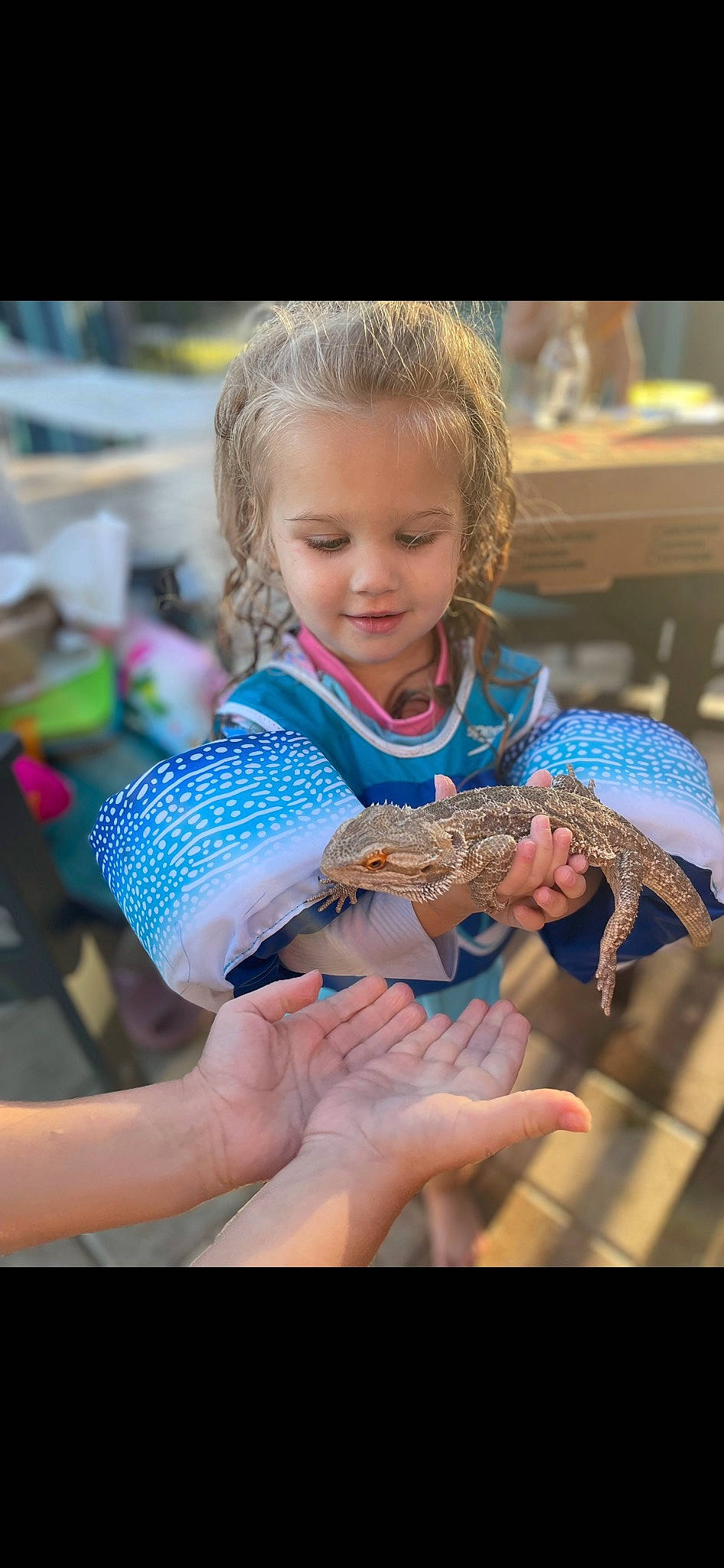 Artemis is registered to the contest to win money with this photo: adaptation, child, electric_blue, event, finger, fun, hand, happy, iguania, leisure, lizard, pattern, person, reptile, scaled_reptile, serpent, sitting, t_shirt, terrestrial_animal, thumb