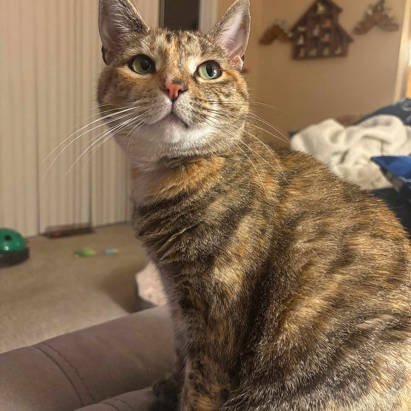 Frannie