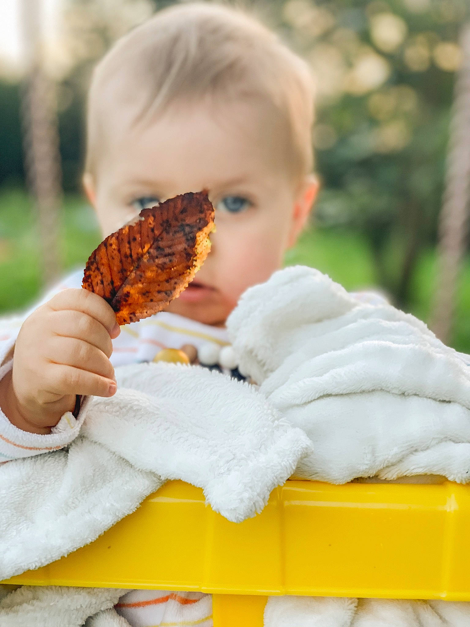 Tom a rejoint le concours — aidez-le/la à gagner de superbes lots ! autumn, baby, child, eating, fun, gesture, grass, happy, junk_food, leisure, orange, people_in_nature, person, play, portrait_photography, sitting, soil, toddler, vacation, vegetable