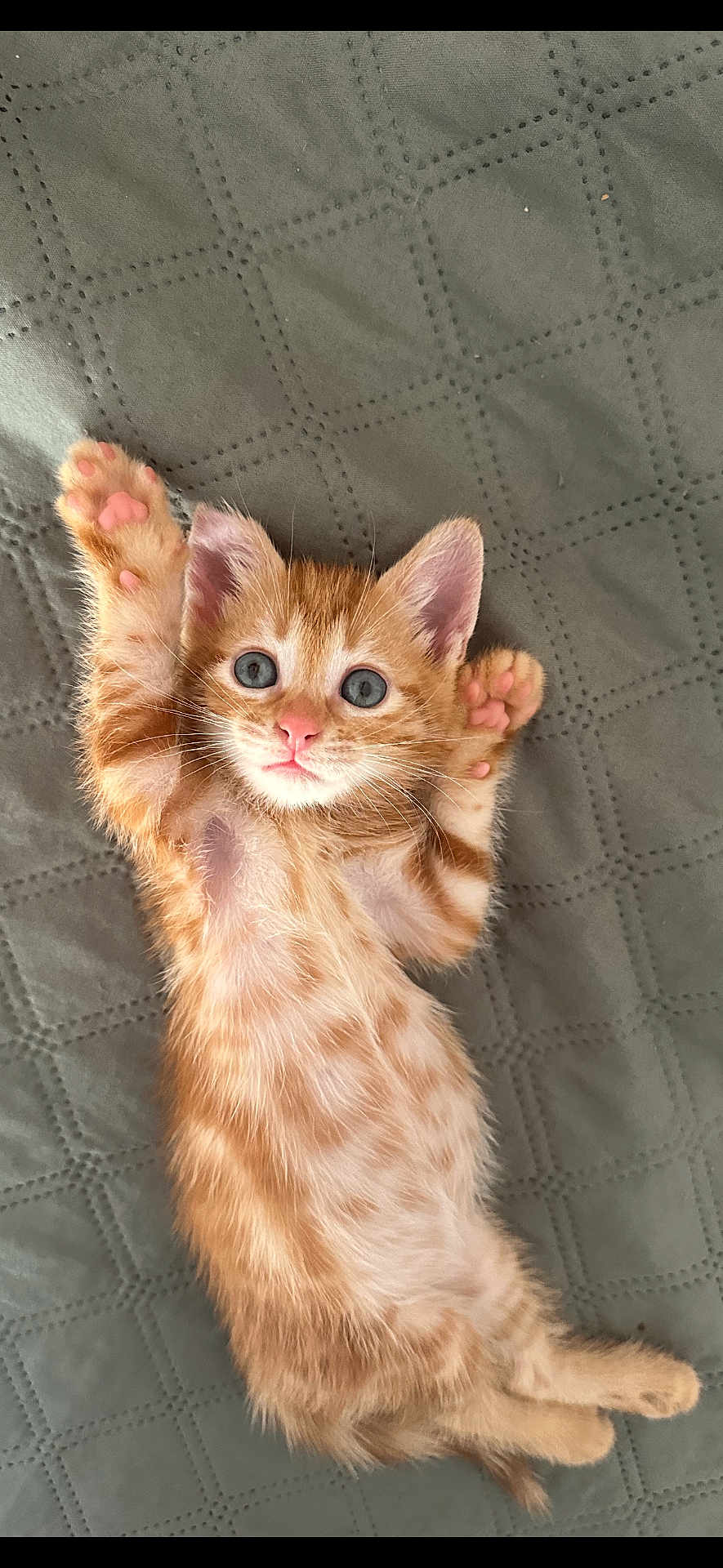 Weasley