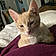 Tigger