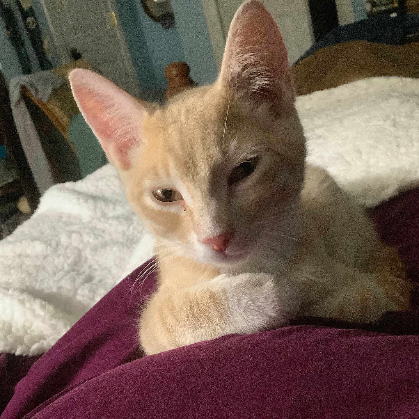 Tigger