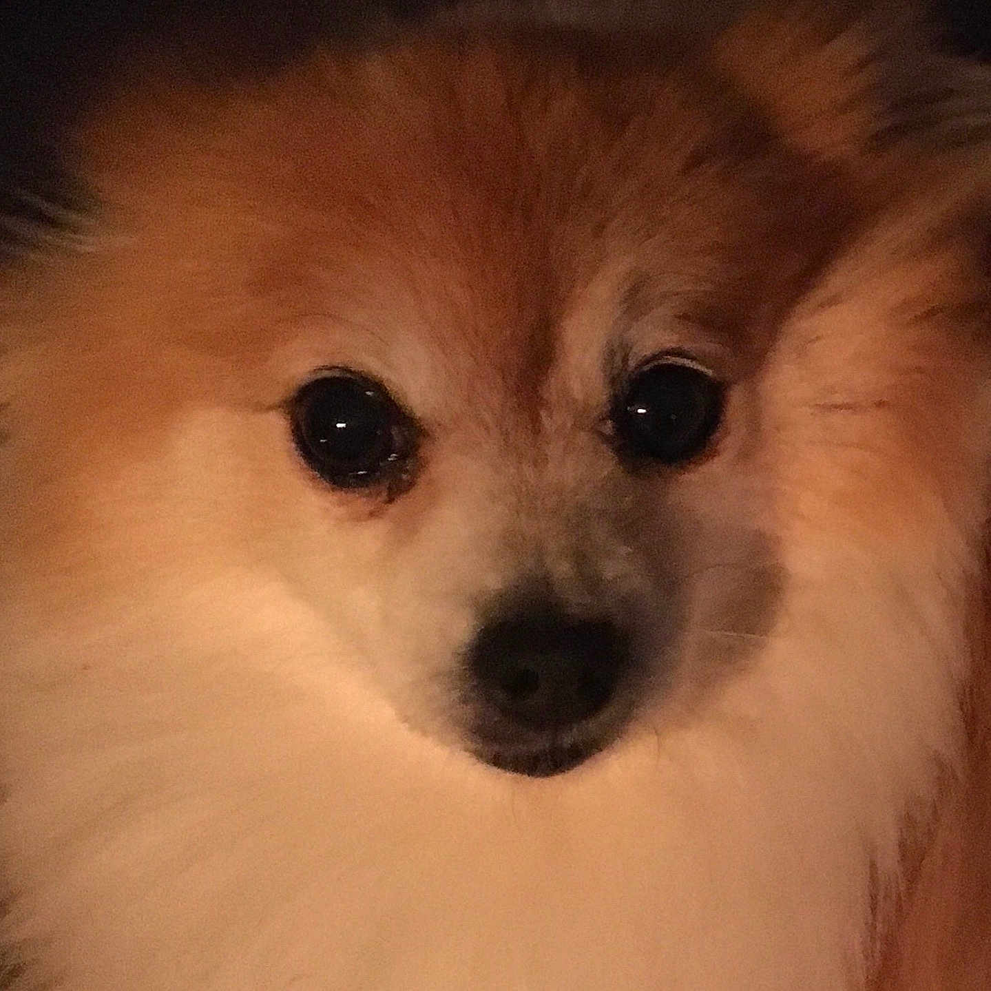 Tobyonekenobi