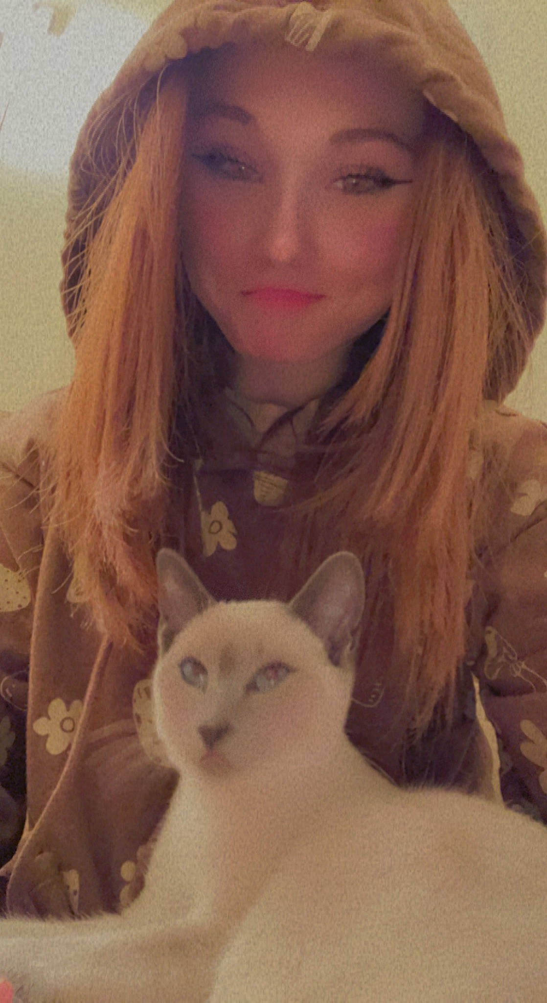 Boots is registered to the contest to win money with this photo: beauty, carnivore, cat, ear, eye, eyebrow, eyelash, eyewear, fawn, felidae, iris, layered_hair, lip, long_hair, nose, organ, selfie, sleeve, small_to_medium_sized_cats, whiskers