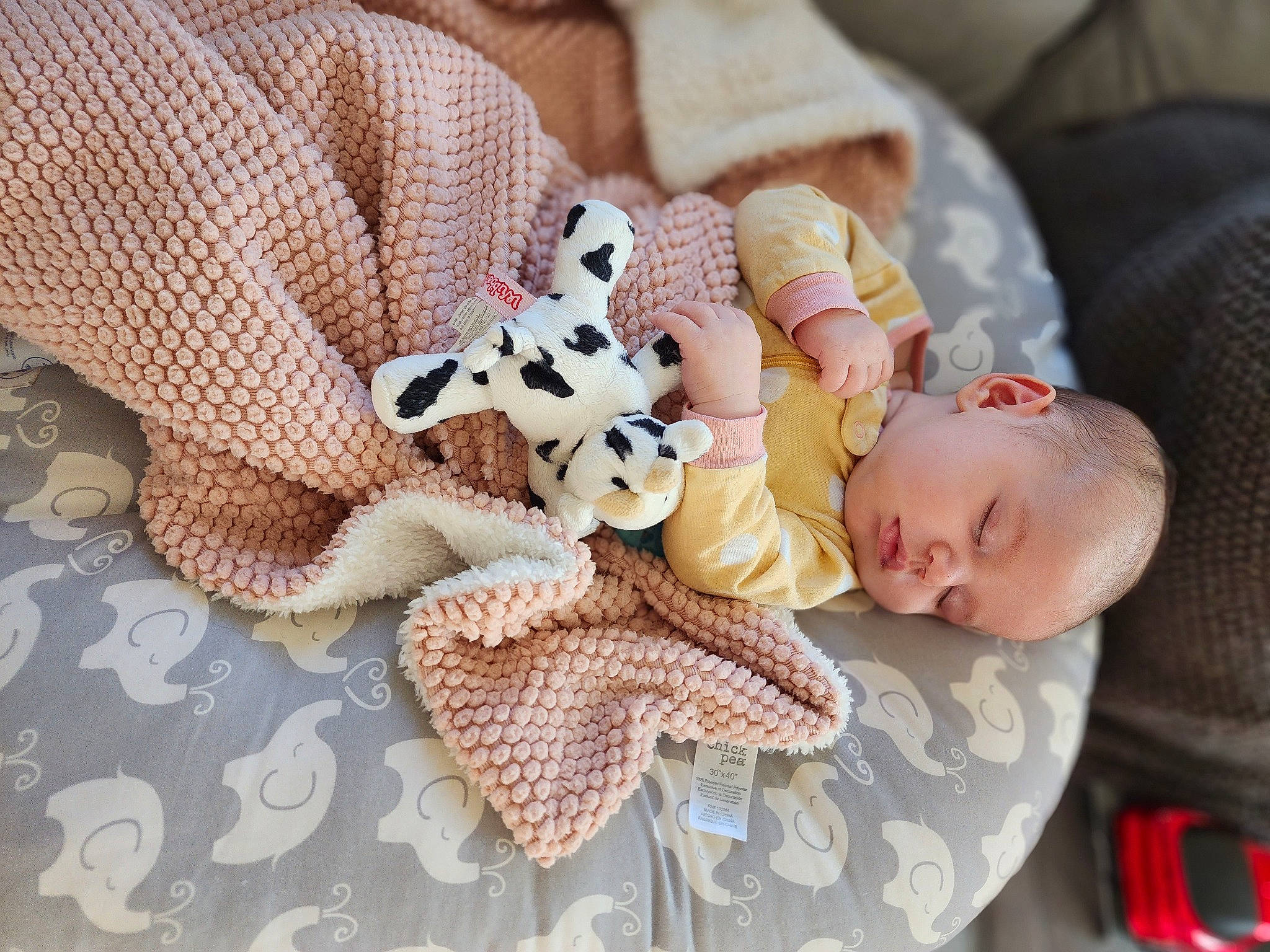 Olivia is registered to the contest to win money with this photo: baby, baby_products, baby_sleeping, baby_toddler_clothing, child, comfort, fashion_accessory, fur, headgear, linens, pattern, person, product, room, sitting, skin, stuffed_toy, toddler, toy, wood