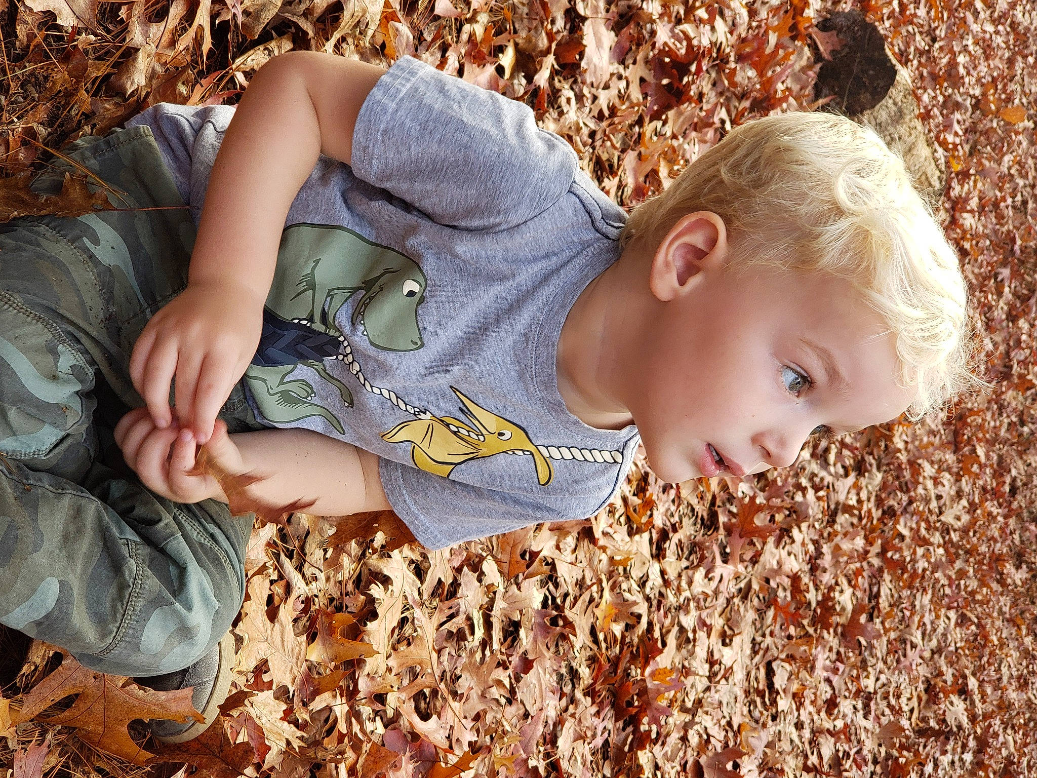 Maxwell is registered to the contest to win money with this photo: autumn, baby, baby_toddler_clothing, child, deciduous, finger, fun, grass, grass_family, happy, leaf, pattern, people_in_nature, person, play, portrait_photography, sitting, soil, toddler, tree