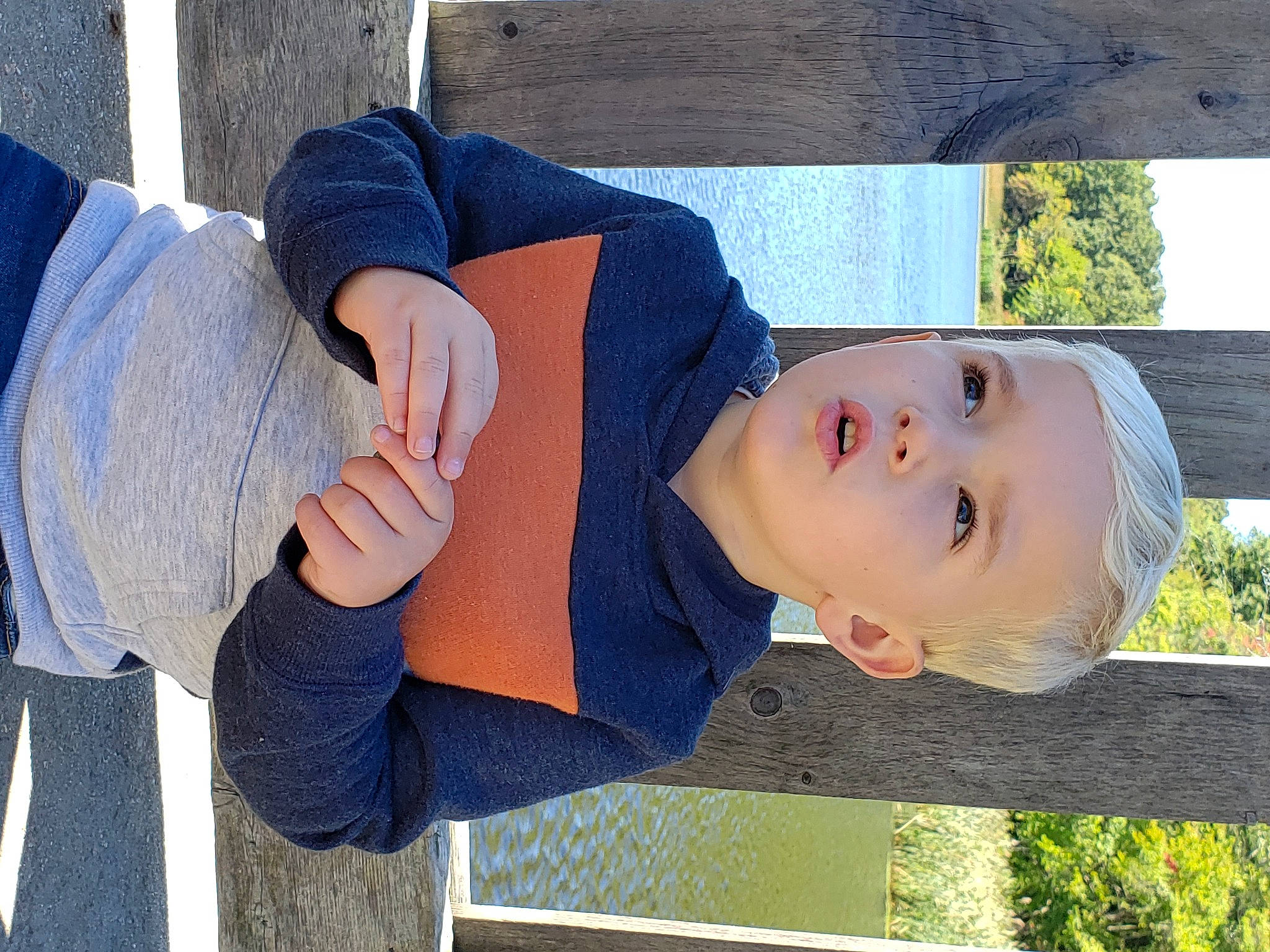 Maxwell joined the competition — help win amazing prizes! child, denim, elbow, electric_blue, fun, gesture, grass, happy, hat, human_leg, leisure, person, plant, sitting, sleeve, t_shirt, toddler, tree, wrist