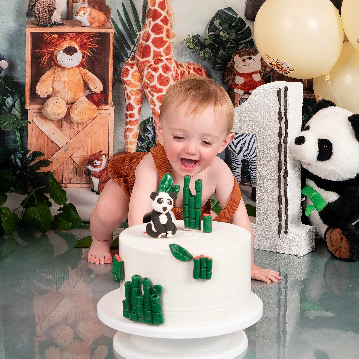 Rían Colby is registered to the contest to win money with this photo: baby, balloon, bamboo, birthday, cake, celebration, crawling, decor, giraffe, hedgehog, lion, number_one, owl, panda, party, plant, smiling, squirrel, stuffed_animal, table