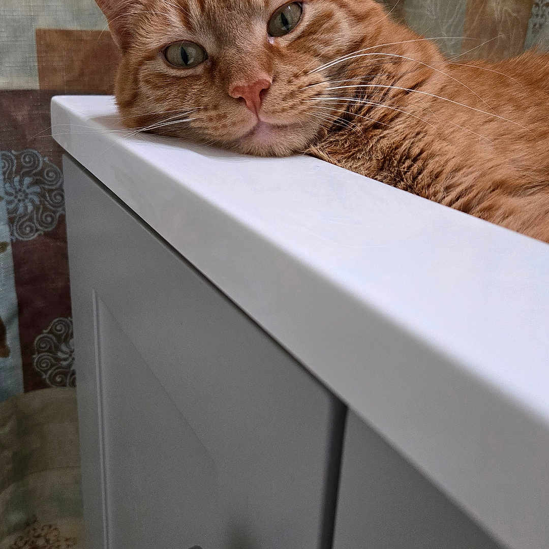 Rusty