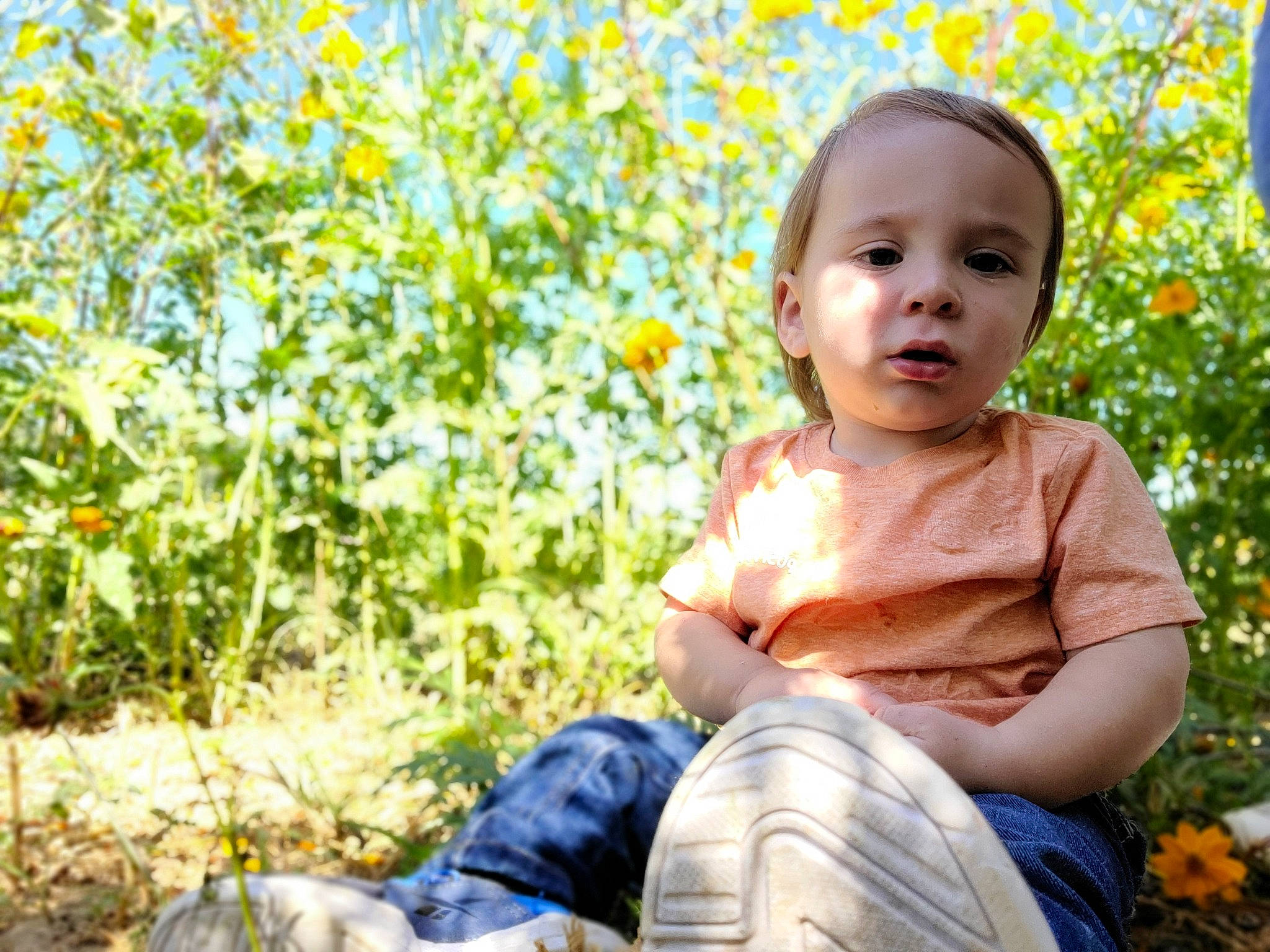 Asa joined the competition — help win amazing prizes! baby, baby_toddler_clothing, child, fruit, fun, garden, grass, happy, landscape, leisure, people_in_nature, person, plant, portrait_photography, sitting, smile, sunlight, toddler, tree, vacation