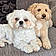 Buster And Spot