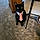 Mr.pickles