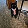Mr.pickles