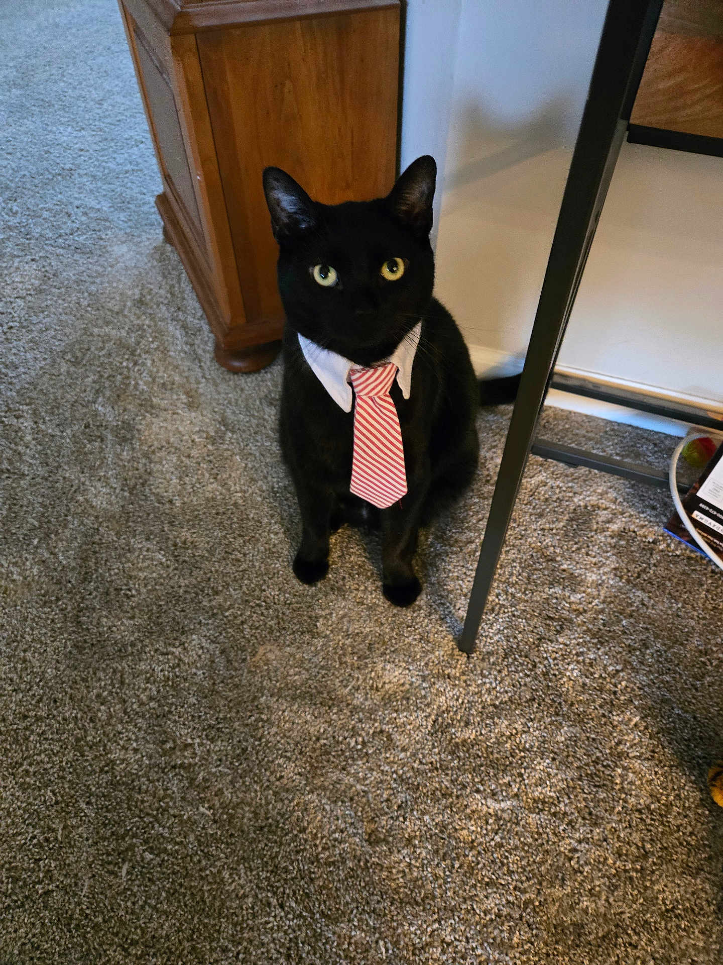 Mr.pickles