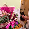 indoor, flower_bouquet, pink_flowers, purple_flowers, green_leaves, wooden_surface, black_kitten, kitten, hands, doorway, wall, light_switch, vase, floral_arrangement, decor, pet, small_animal, cute, home, cozy