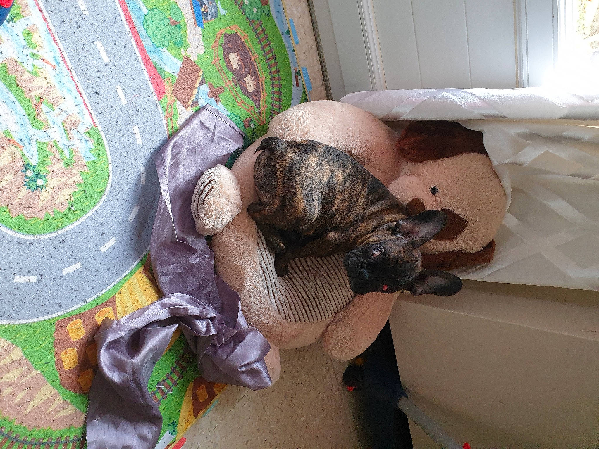 Saïko a rejoint le concours — aidez-le/la à gagner de superbes lots ! art, comfort, flooring, fur, grass, human_body, human_leg, linens, nap, pattern, reptile, sandal, sidewalk, sitting, textile, thigh, tradition, visual_arts, wool