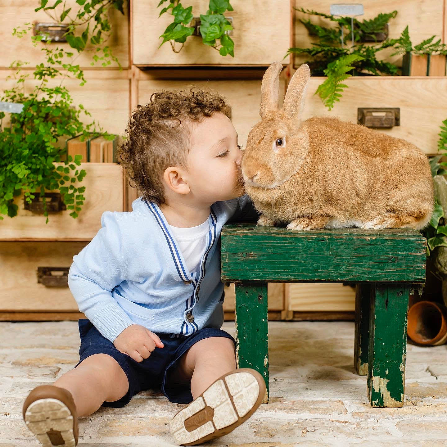 Slayte is registered to the contest to win money with this photo: baby_toddler_clothing, fawn, grass, green, happy, hare, leisure, outdoor_furniture, person, photograph, plant, rabbit, rabbits_and_hares, shorts, sleeve, snapshot, t_shirt, table, toddler, vertebrate