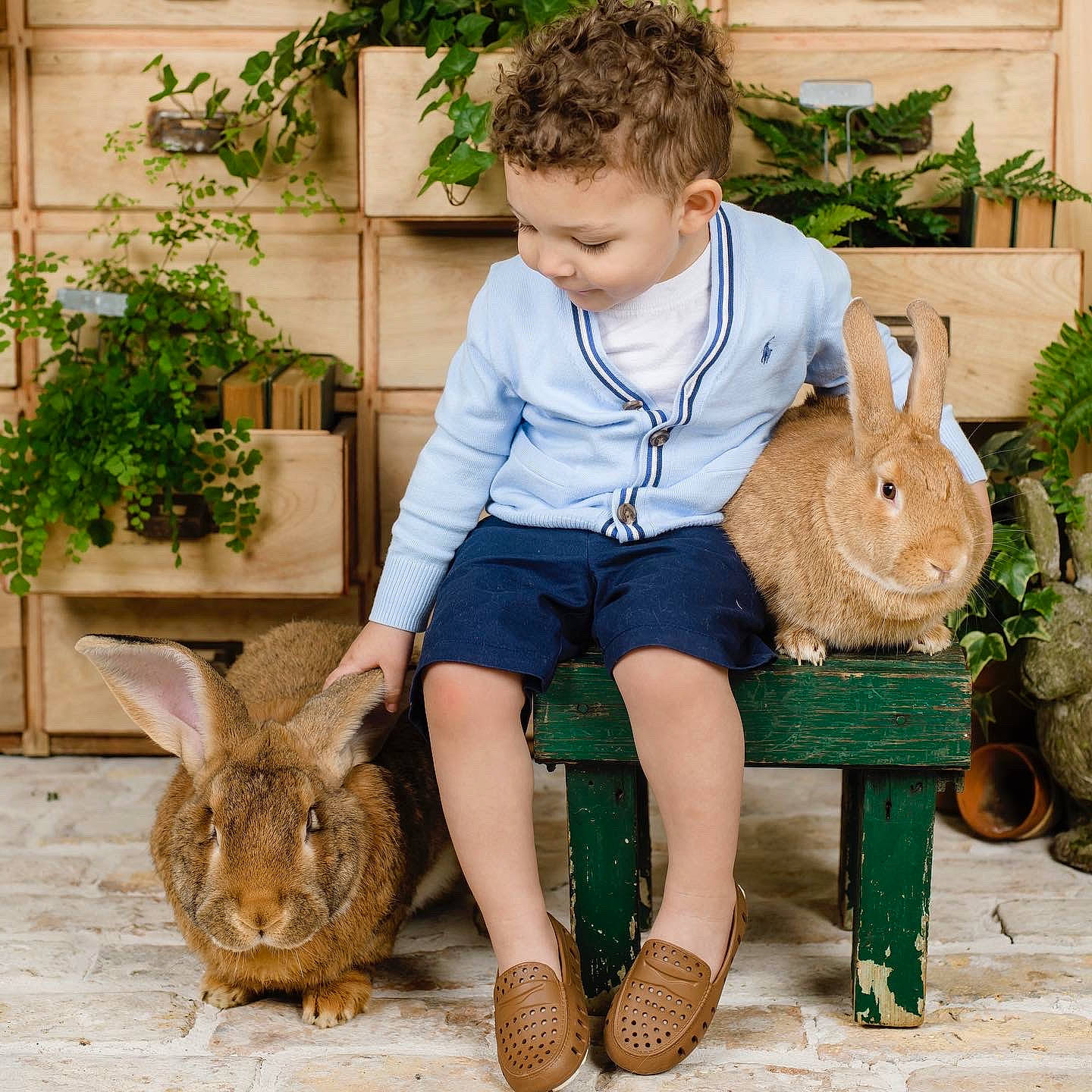 Slayte joined the competition — help win amazing prizes! fawn, fur, grass, happy, hare, leisure, mammal, organ, person, plant, rabbit, rabbits_and_hares, shoe, shorts, sitting, tail, terrestrial_animal, toddler, vertebrate, wood
